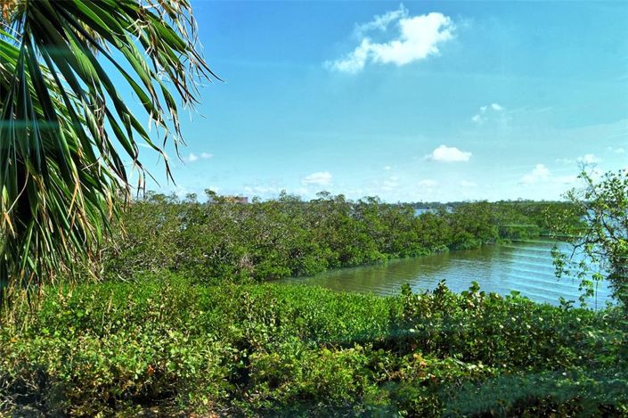 Image No.44-Propriété de 2 chambres à vendre à Sarasota