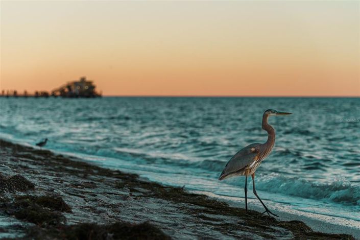 Image No.69-5 Bed Property for sale