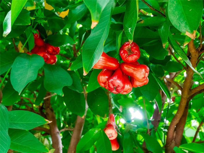 Image No.84-4 Bed Property for sale