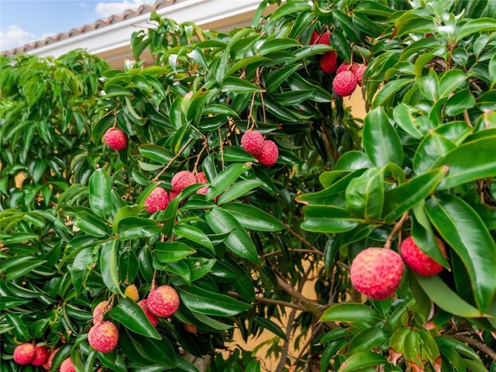 Image No.85-4 Bed Property for sale