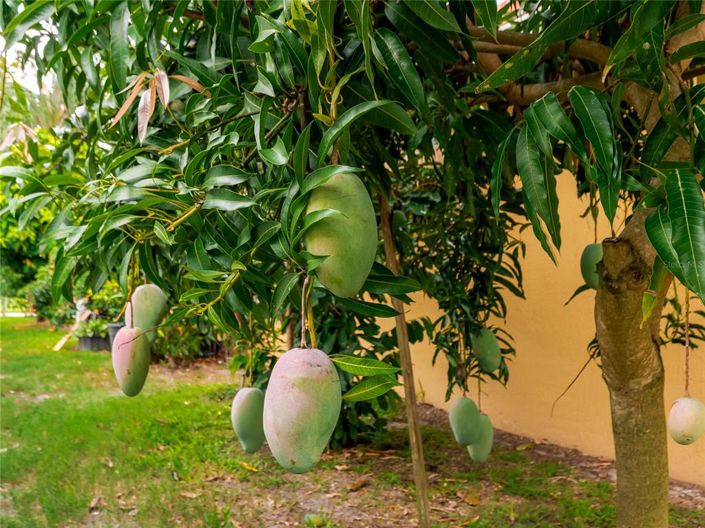 Image No.86-4 Bed Property for sale