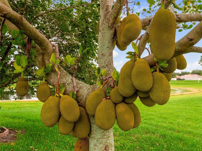 Image No.87-4 Bed Property for sale