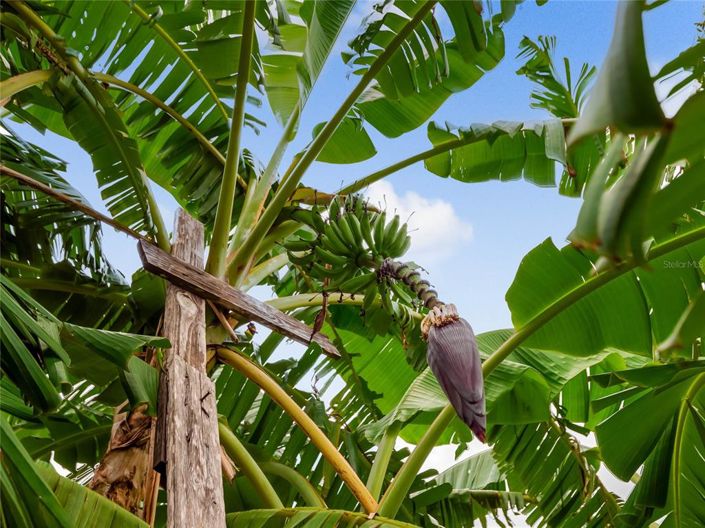 Image No.89-4 Bed Property for sale