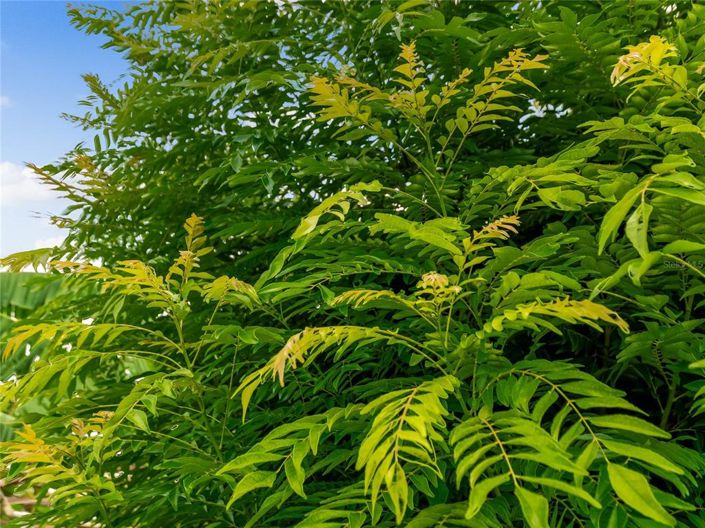 Image No.90-4 Bed Property for sale