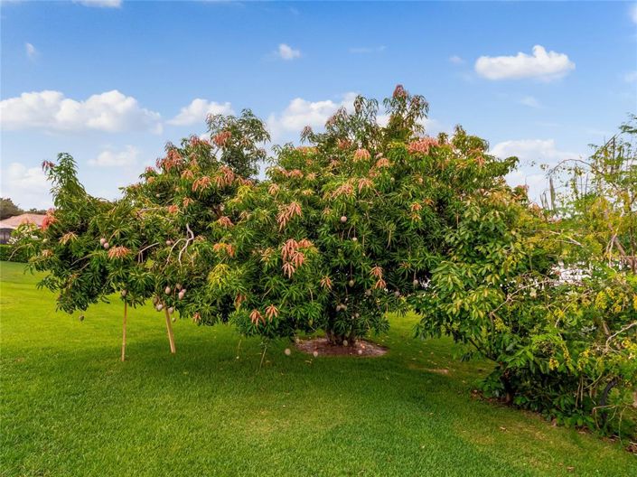 Image No.91-4 Bed Property for sale