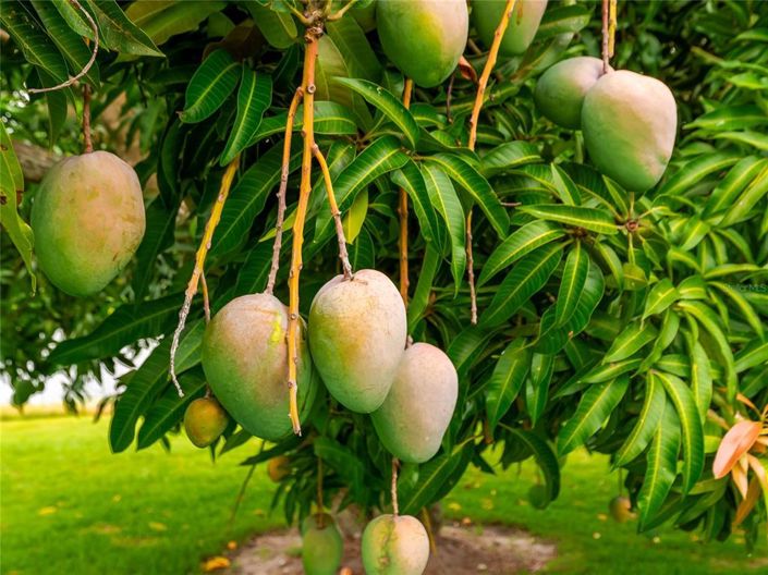 Image No.92-4 Bed Property for sale