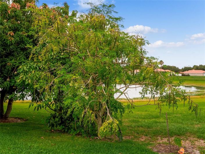 Image No.93-4 Bed Property for sale