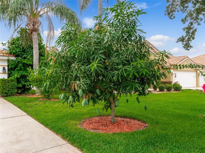 Image No.95-4 Bed Property for sale