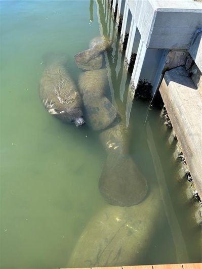 Image No.57-2 Bed Townhouse for sale