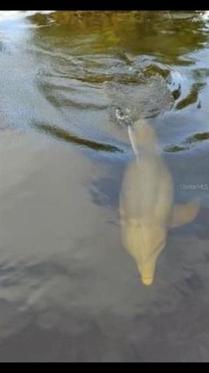 Image No.40-2 Bed Property for sale