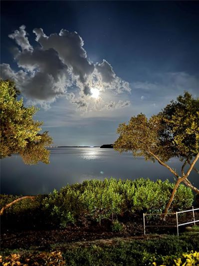 Image No.58-Propriété de 2 chambres à vendre à Floride