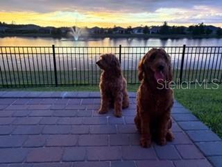 Image No.28-Propriété de 2 chambres à vendre à Clermont