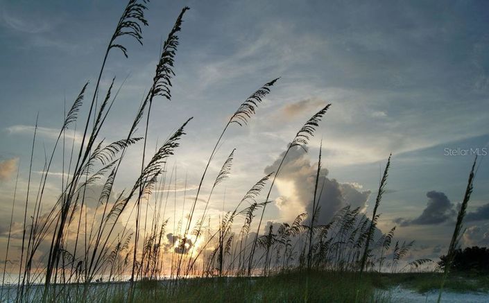 Image No.48-3 Bed Property for sale