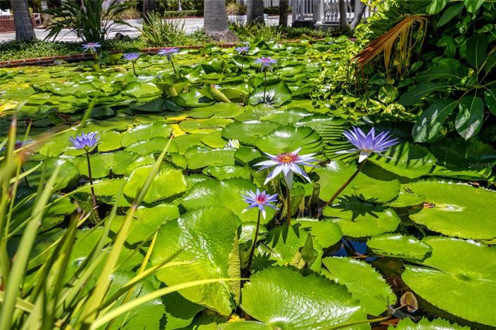 Image No.20-Propriété de 1 chambre à vendre à Floride