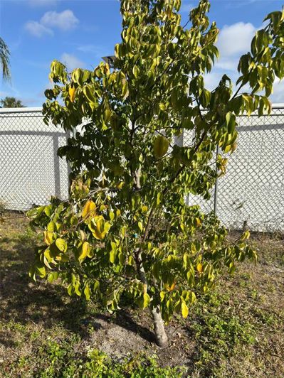 Image No.39-Propriété de 4 chambres à vendre à Kissimmee