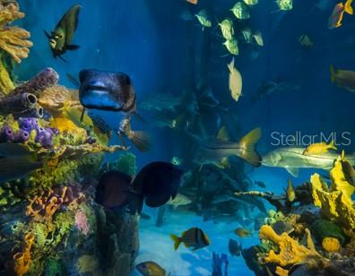 Image No.32-Propriété de 1 chambre à vendre à Floride