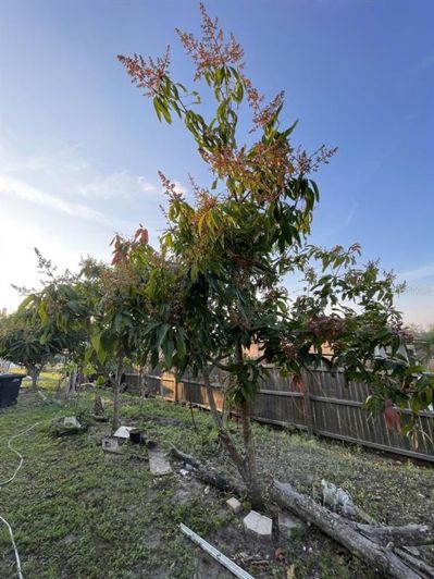 Image No.17-4 Bed Property for sale