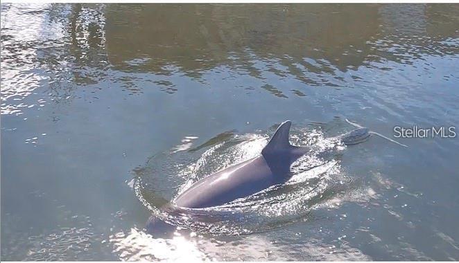 Image No.74-4 Bed Property for sale