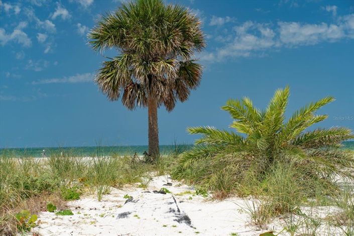 Image No.18-Propriété de 6 chambres à vendre à Clearwater