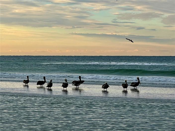 Image No.38-3 Bed Property for sale