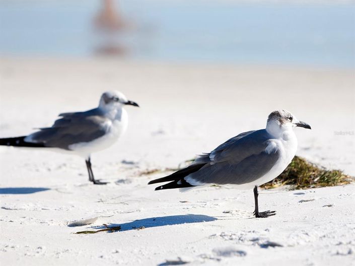 Image No.72-5 Bed Property for sale