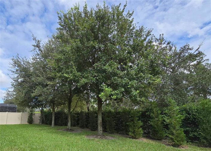 Image No.72-6 Bed Property for sale