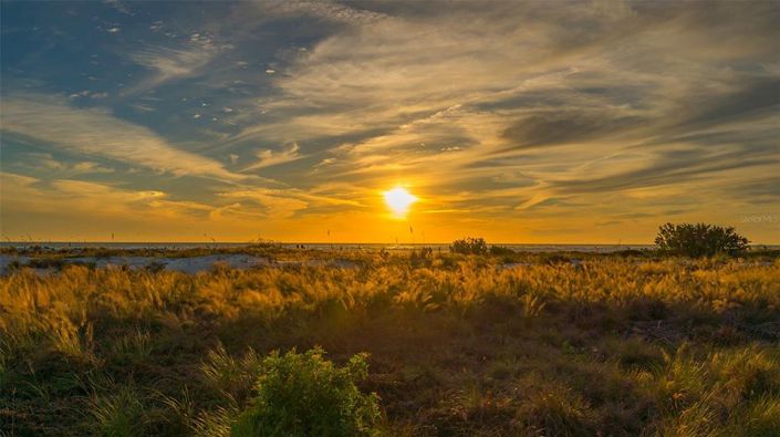 Image No.94-Propriété de 4 chambres à vendre à Sarasota