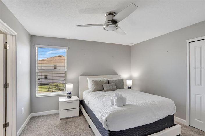 Image No.37-Propriété de 8 chambres à vendre à Davenport