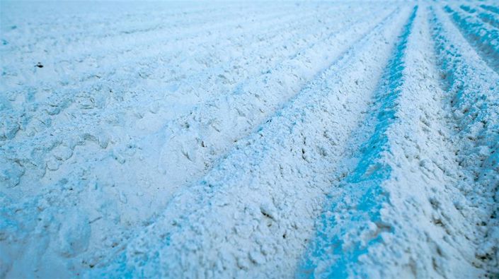 Image No.77-Propriété de 2 chambres à vendre à Sarasota