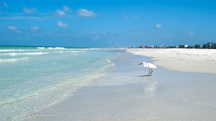 Image No.84-Propriété de 2 chambres à vendre à Sarasota