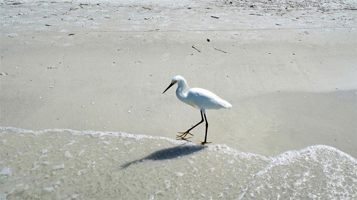 Image No.85-Propriété de 2 chambres à vendre à Sarasota