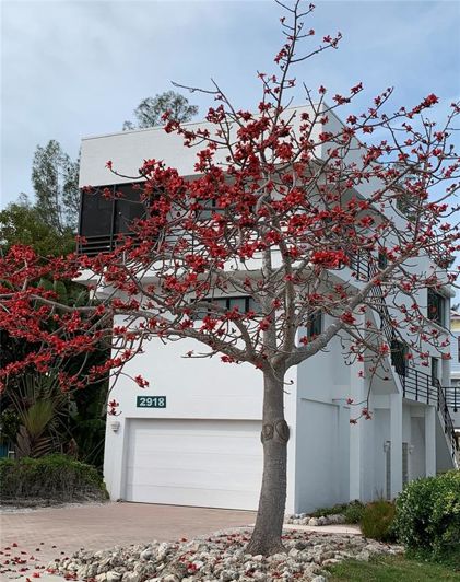 Image No.38-Propriété de 3 chambres à vendre à Holmes Beach