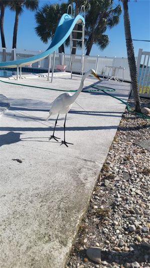 Image No.8-Propriété de 5 chambres à vendre à Floride