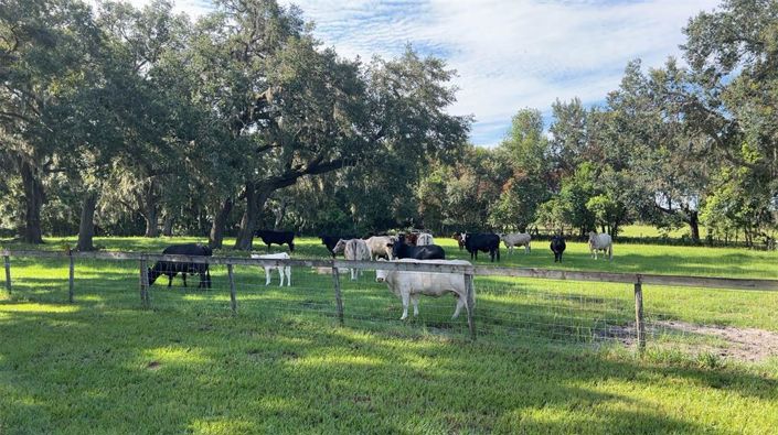 Image No.5-3 Bed Property for sale