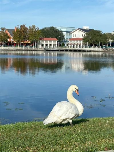 Image No.26-Propriété de 2 chambres à vendre à Kissimmee