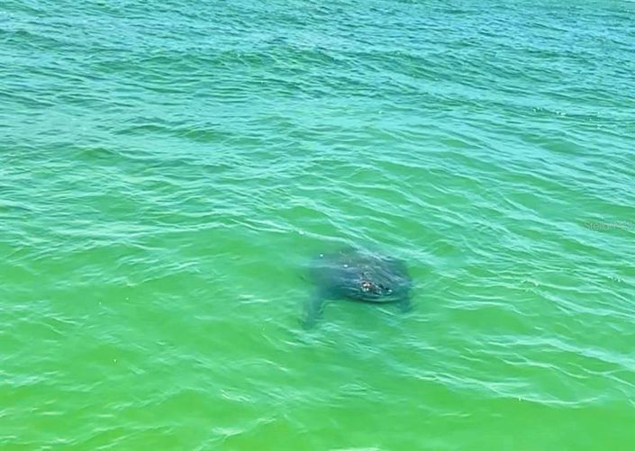 Image No.34-2 Bed Property for sale