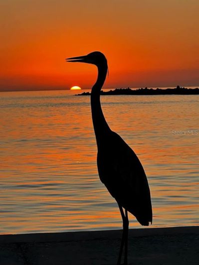 Image No.56-6 Bed Property for sale