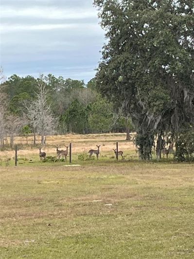 Image No.9-4 Bed Property for sale