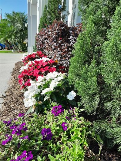 Image No.35-Propriété de 2 chambres à vendre à Clermont