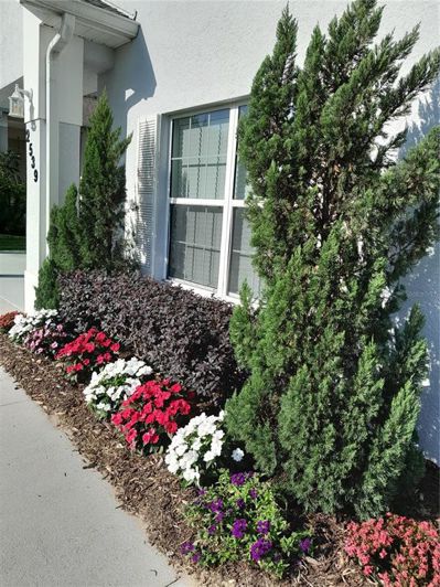 Image No.5-Propriété de 2 chambres à vendre à Clermont