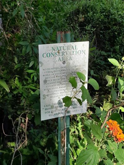 Image No.7-Propriété de 2 chambres à vendre à Clermont