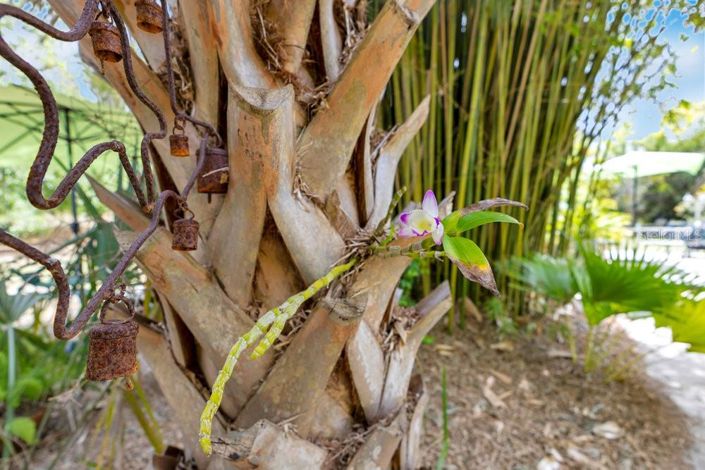 Image No.81-Propriété de 3 chambres à vendre à Clermont