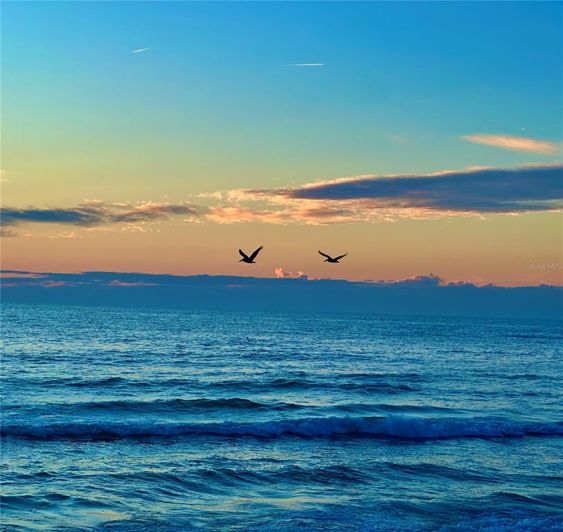 Image No.49-4 Bed Property for sale