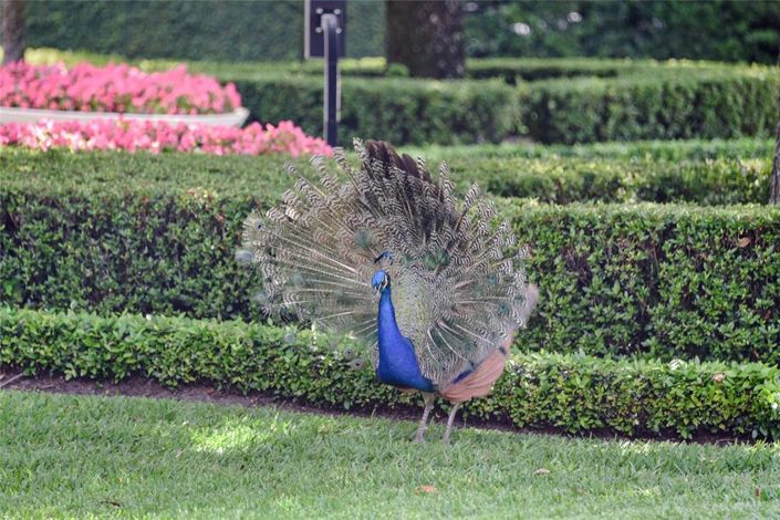 Image No.88-5 Bed Property for sale