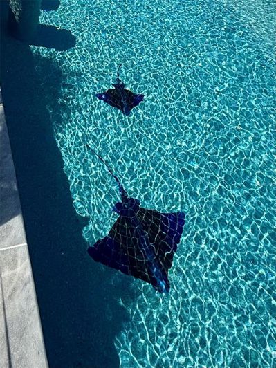 Image No.66-3 Bed Property for sale