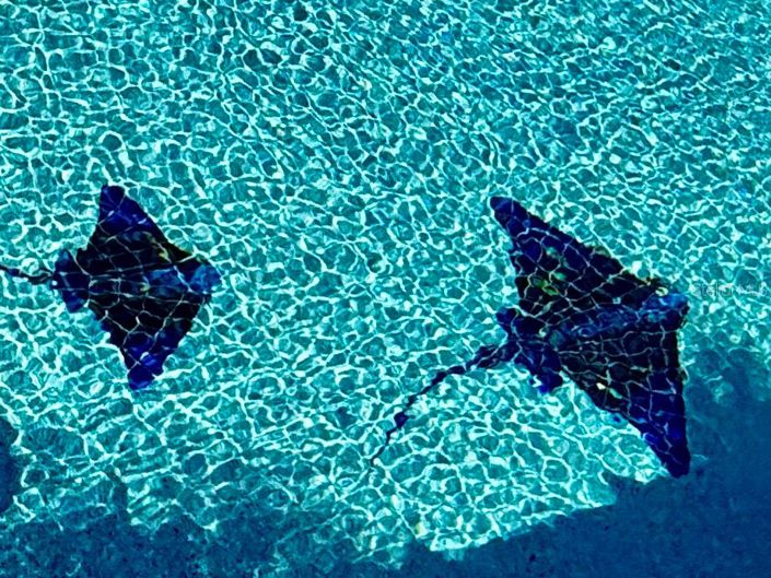 Image No.67-3 Bed Property for sale