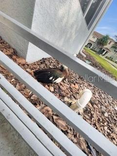 Image No.12-2 Bed Property for sale