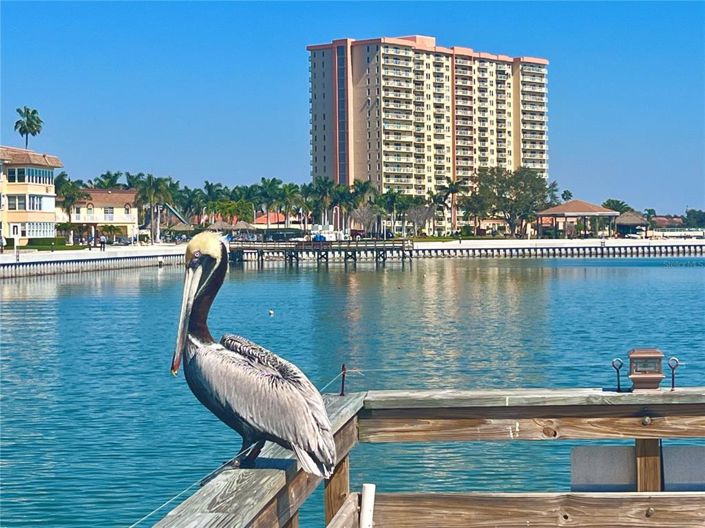 Image No.46-1 Bed Property for sale