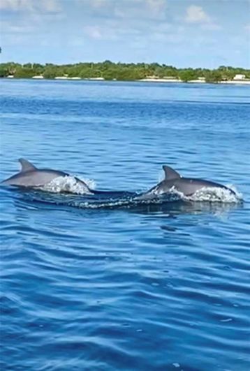 Image No.56-2 Bed Property for sale