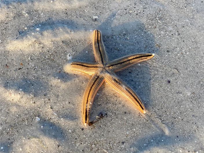 Image No.60-2 Bed Property for sale